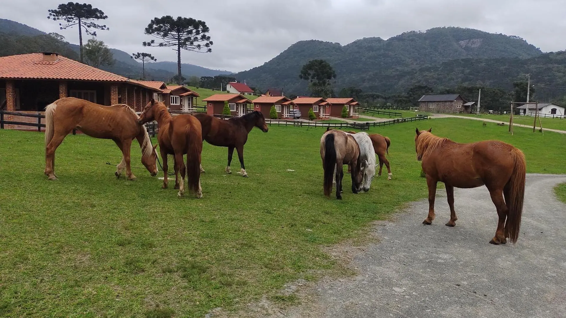 Sítio Rancho crioulo Hotel Urubici 0*,  Brasil