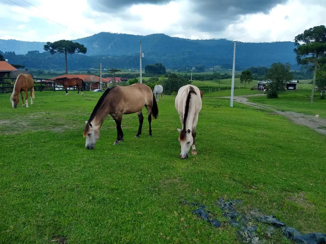 Casa de hóspedes Sítio Rancho crioulo Hotel Urubici